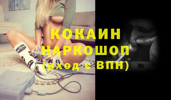 стаф Алзамай