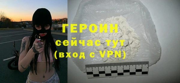 гашик Алексин