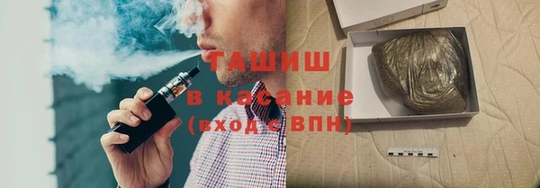 стаф Алзамай