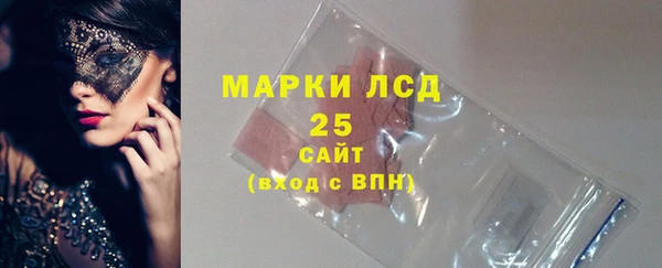 стаф Алзамай