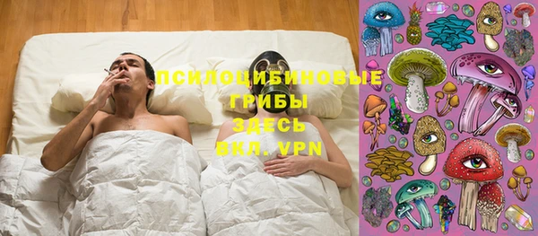 гашик Алексин