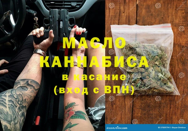 стаф Алзамай