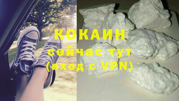 стаф Алзамай