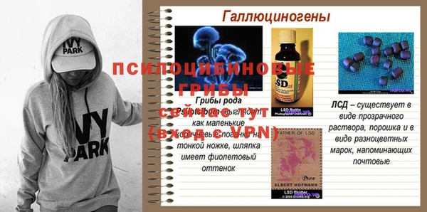 стаф Алзамай