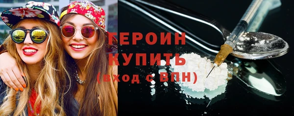 гашик Алексин