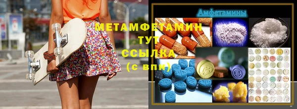 стаф Алзамай