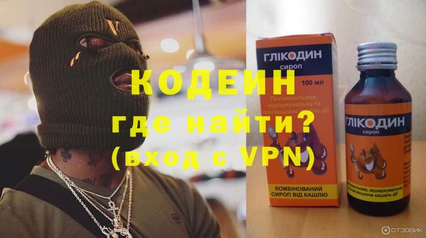 гашик Алексин