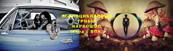 гашик Алексин