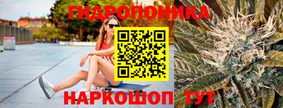 ГАЛЛЮЦИНОГЕННЫЕ ГРИБЫ Гай