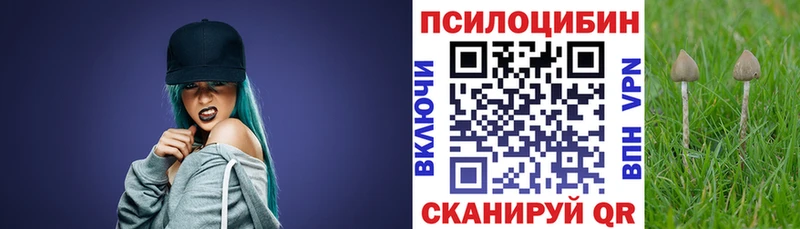 Галлюциногенные грибы Psilocybe  Подольск 