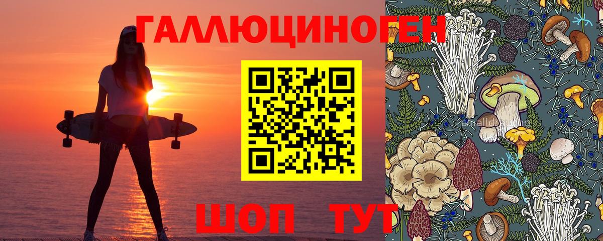 Псилоцибиновые грибы мицелий  Вход с VPN  Подольск  Галлюциногенные грибы Psilocybe 